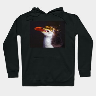 Royal Penguin Portrait Hoodie